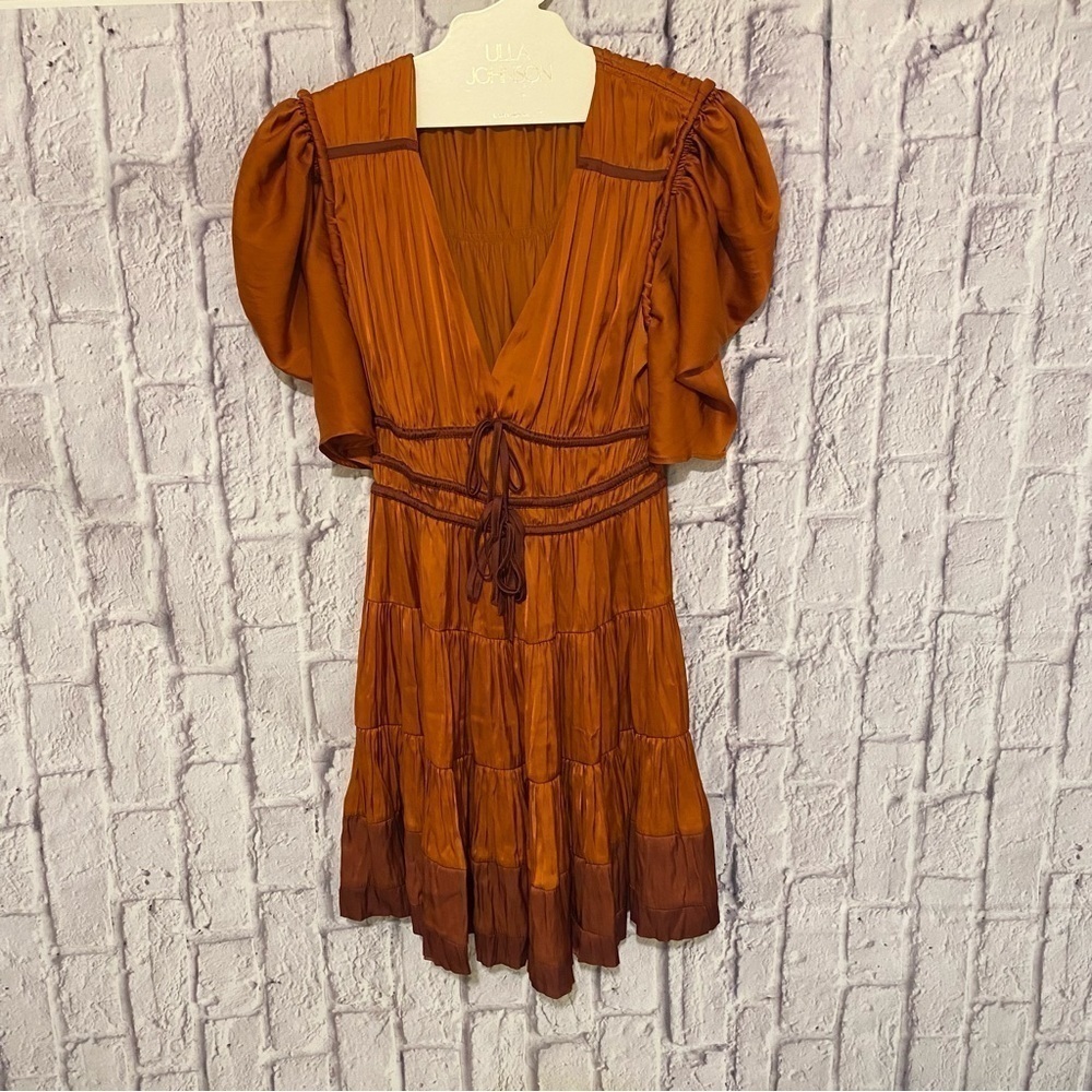 ULLA JOHNSON Azaria Dress in Agate 2 - Picture 9 of 13